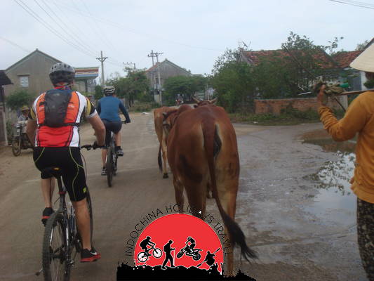7 days Cambodia Cycling Charity Holiday