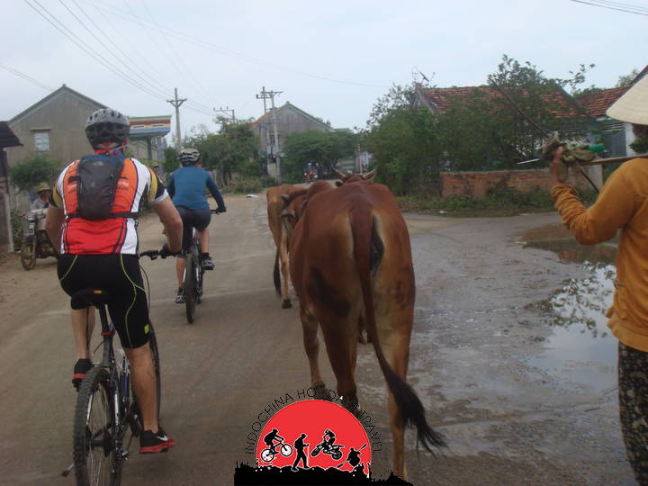 Cambodia Cycling from Angkor To The Beach - 13 Days 3