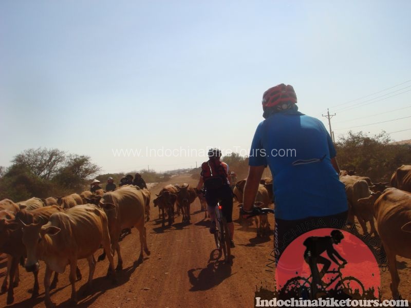 Cambodia Experience Cycling Tours -12 days 3