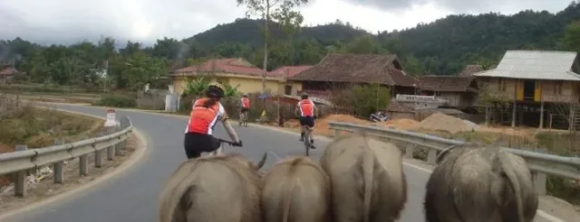 1 day Angkor Temple Adventure Cycle Tour