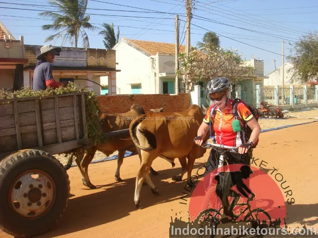 Saigin Cycle to Nam Cat Tien Park – Dalat – NhaTrang – 4 days 1